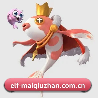 买球站 APP